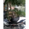 Cover Jok Motor Supra all series model Enmore